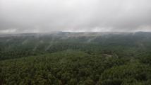harz2.jpg