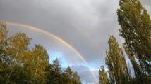 harz4.jpg