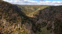 harz6.jpg