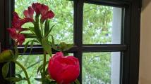 blumen_1.jpeg