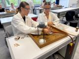 pr_chemie_2.jpg