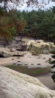 harz3.jpg