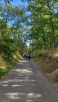 harz4h.jpg