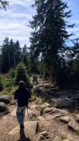 harz6h.jpg