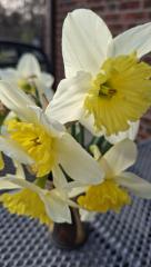 ostern_2026.jpg