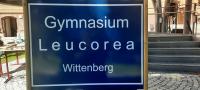 leucorea.jpg